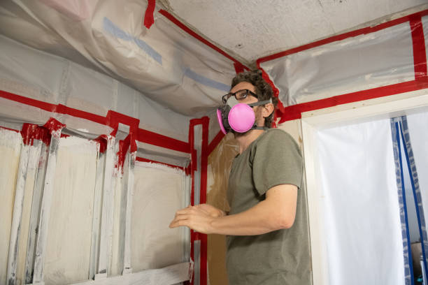 Best Attic Mold Removal  in Higganum, CT